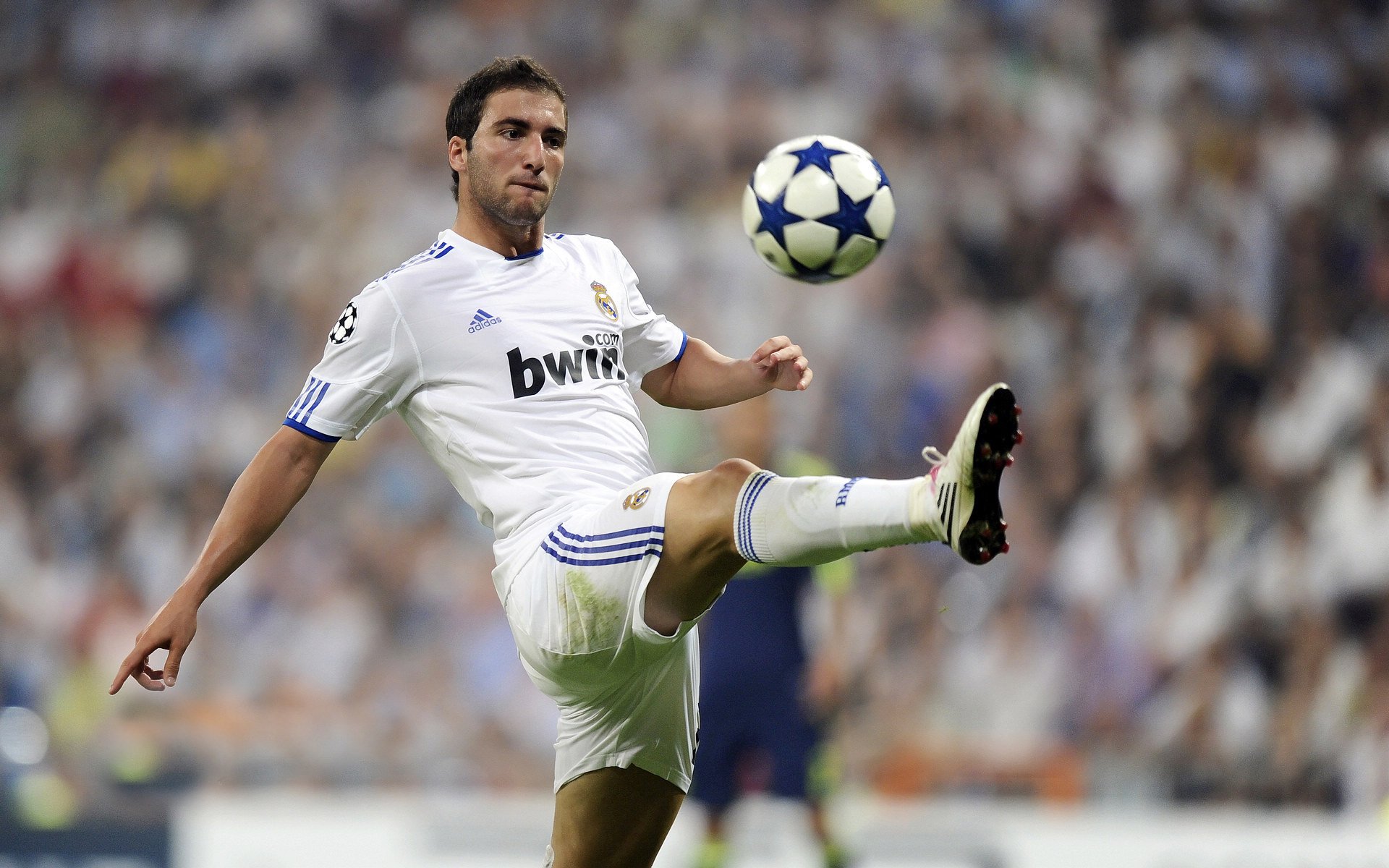 王牌队替补阵容贡献突出，王牌队伍